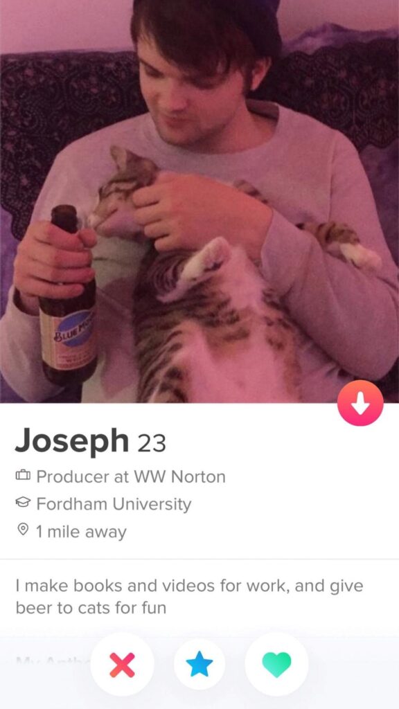 what to put in a tinder bio for guys