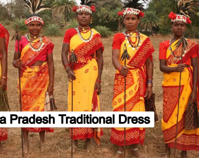 Madhya Pradesh Traditional Dress