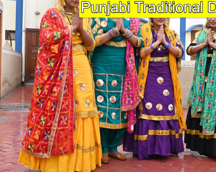 Punjabi Traditional Dress